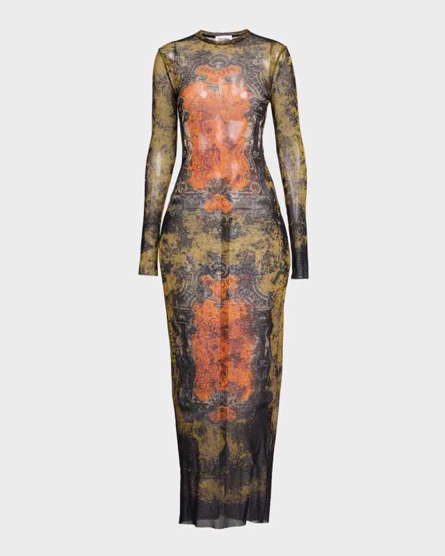 Medallion-Print Mesh Long-Sleeve Maxi Dress